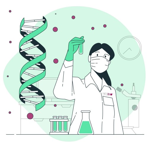 O sequenciamento de DNA: A (re)volu&ccedil;&atilde;o 