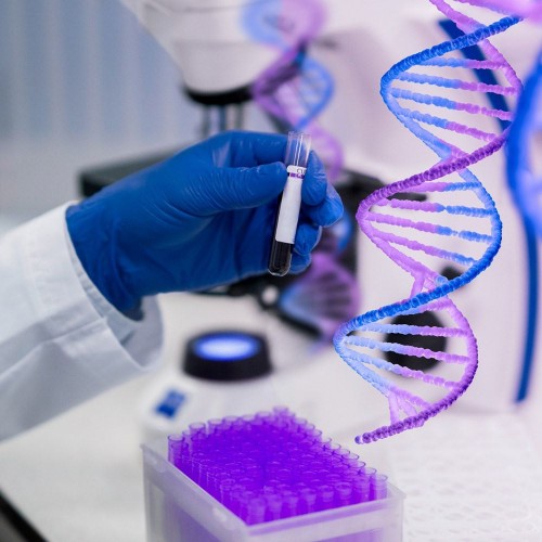 Reagentes para biologia molecular: guia completo