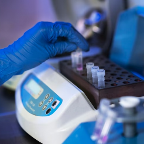 A import&acirc;ncia dos bioreatores na produ&ccedil;&atilde;o de alimentos e medicamentos