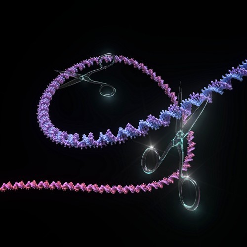 CRISPR/Cas9: Import&acirc;ncia, Funcionamento e Aplica&ccedil;&otilde;es