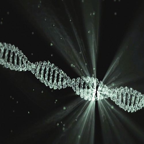 Marcadores de Peso Molecular: A Ferramenta Essencial para An&aacute;lises Gen&eacute;ticas