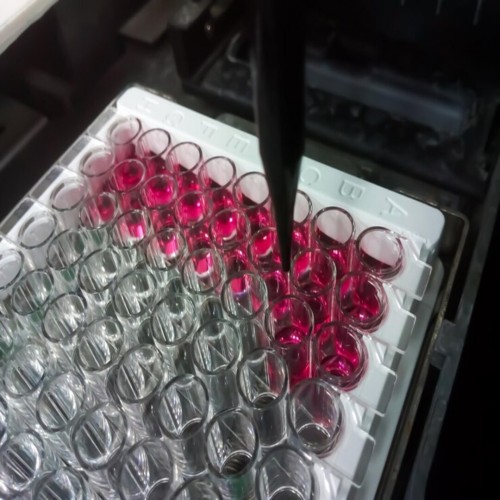 Explorando os Desafios e Vantagens da T&eacute;cnica de ELISA: Uma Vis&atilde;o Abrangente