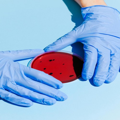Meio de Cultura para Microrganismos: Meios Seletivos e Diferenciais, Equipamentos e Utens&iacute;lios em um Laborat&oacute;rio de Microbiologia