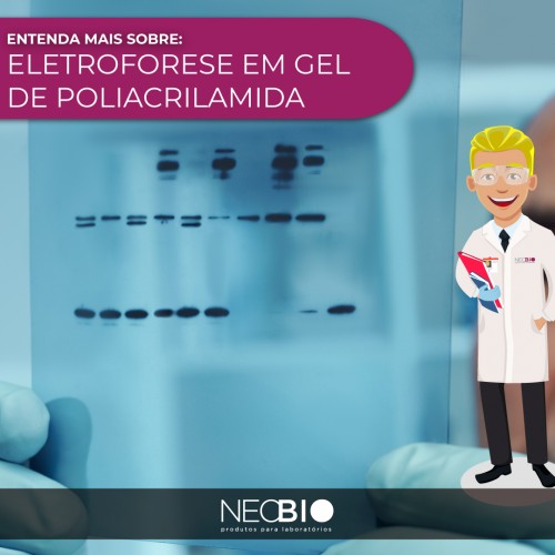 A Eletroforese em Gel de Poliacrilamida