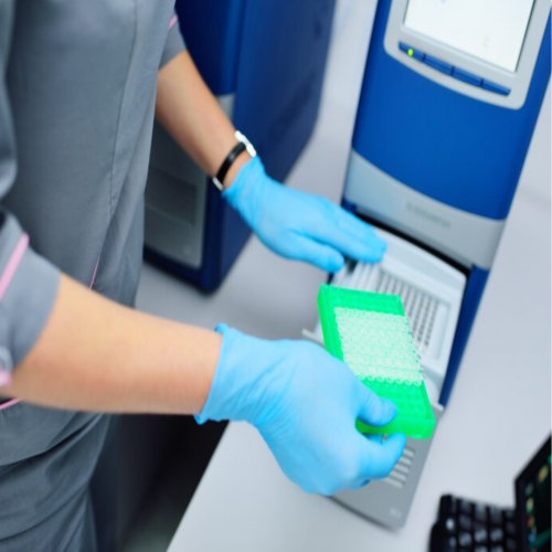 Contamina&ccedil;&atilde;o em Rea&ccedil;&otilde;es de PCR: Um Desafio a ser vencido!