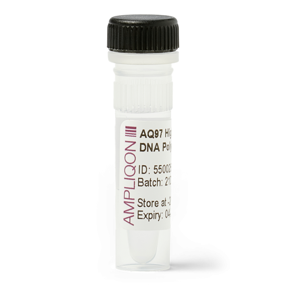 Taq DNA Polimerase de Alta Fidelidade