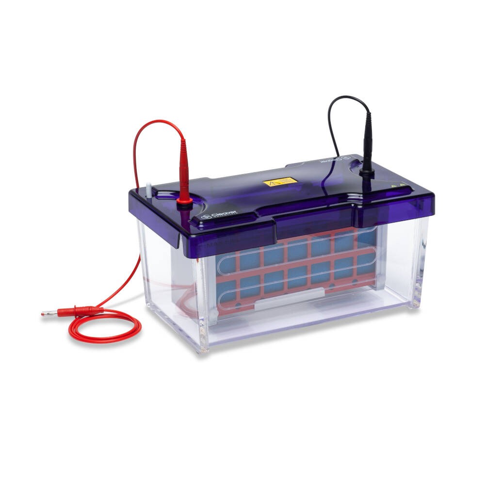 Sistema DE ELETROBLOTTINg omniBLOT