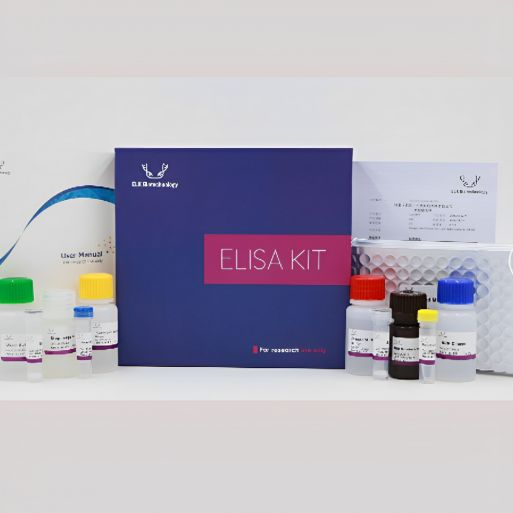 Kit de ELISA para detec&ccedil;&atilde;o de dengue , Human DENV NS1 (Dengue virus non-structural protein 1) 