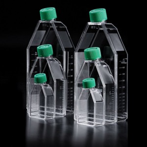 Garrafas para Cultura Celular de 175cm&sup2;