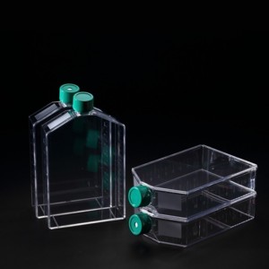 Garrafas para Cultura Celular de 75cm&sup2;