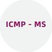 ICMP - MS