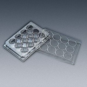 Placa para cultura celular com 12 po&ccedil;os