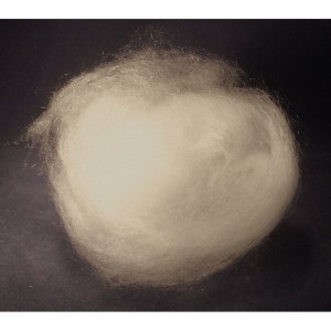 Quartz Wool 6g 402-825.044
