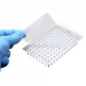 Selo &oacute;ptico para qPCR e PCR convencional