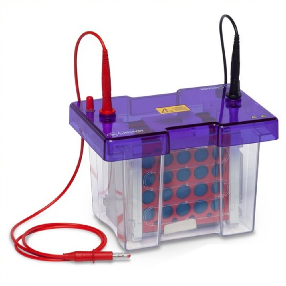 Sistema DE ELETROBLOTTINg omniBLOT