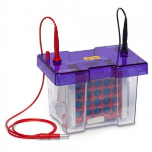 Sistema DE ELETROBLOTTINg omniBLOT