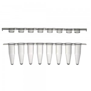 Strips para PCR com tampa reta strip 100 ul